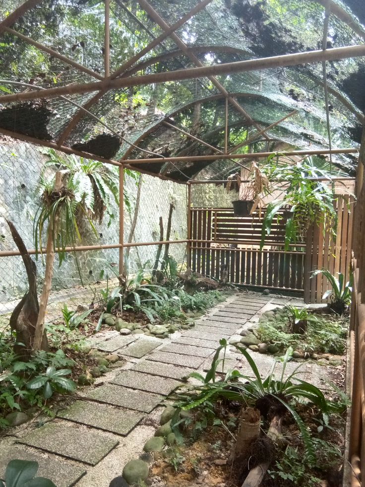 the inside of a greenhouse with lots of plants