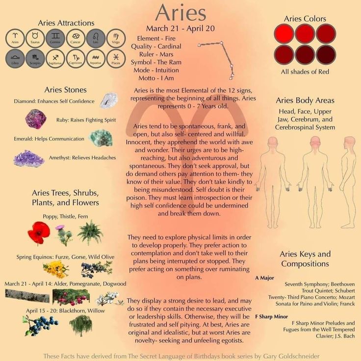 an info sheet describing the different types of flowers and their corresponding parts to describe them