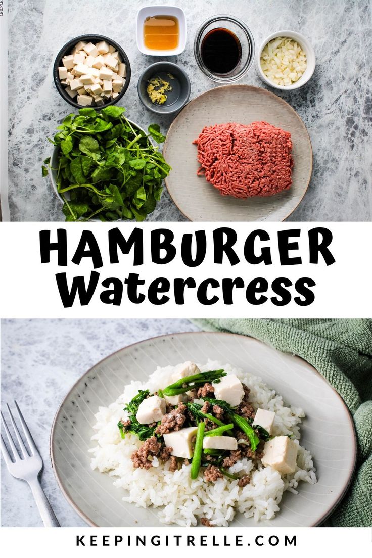 hamburger watercress on a plate with rice and vegetables