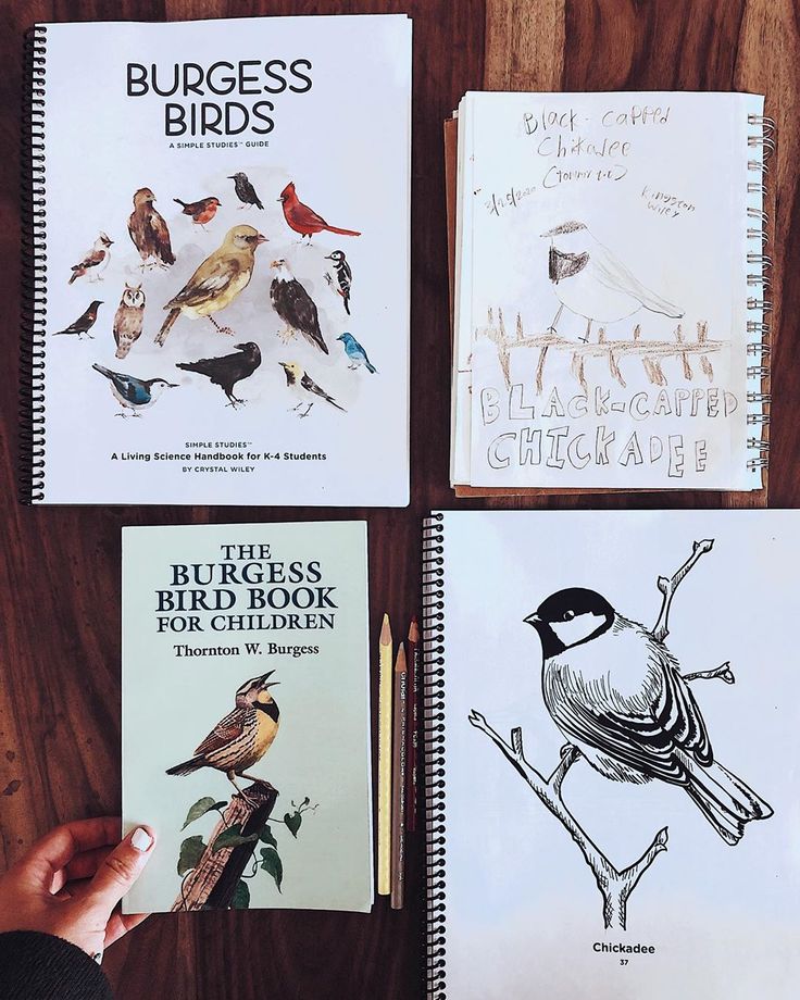 three notebooks with birds drawn on them sitting on a wooden table next to pencils