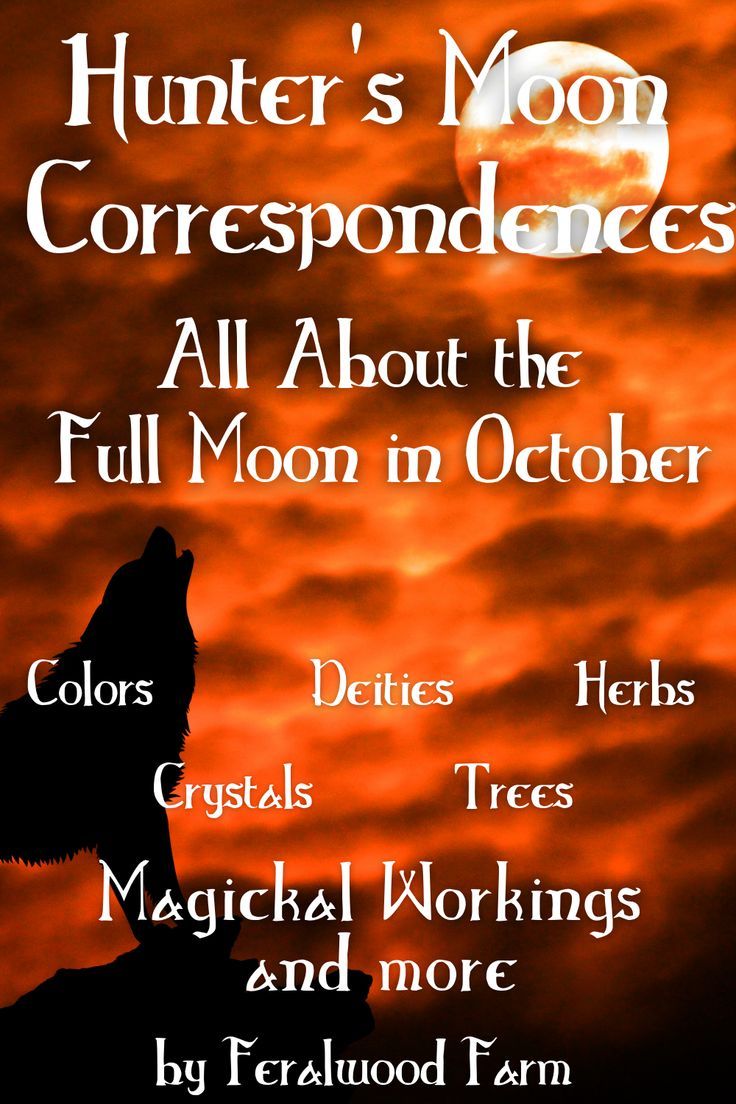 the cover of hunter's moon correspondences all about the full moon in october