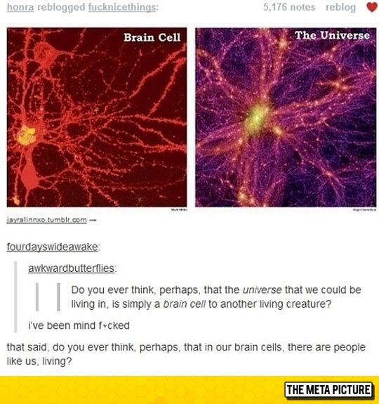 two pictures of the same brain and one with an image of what is in it