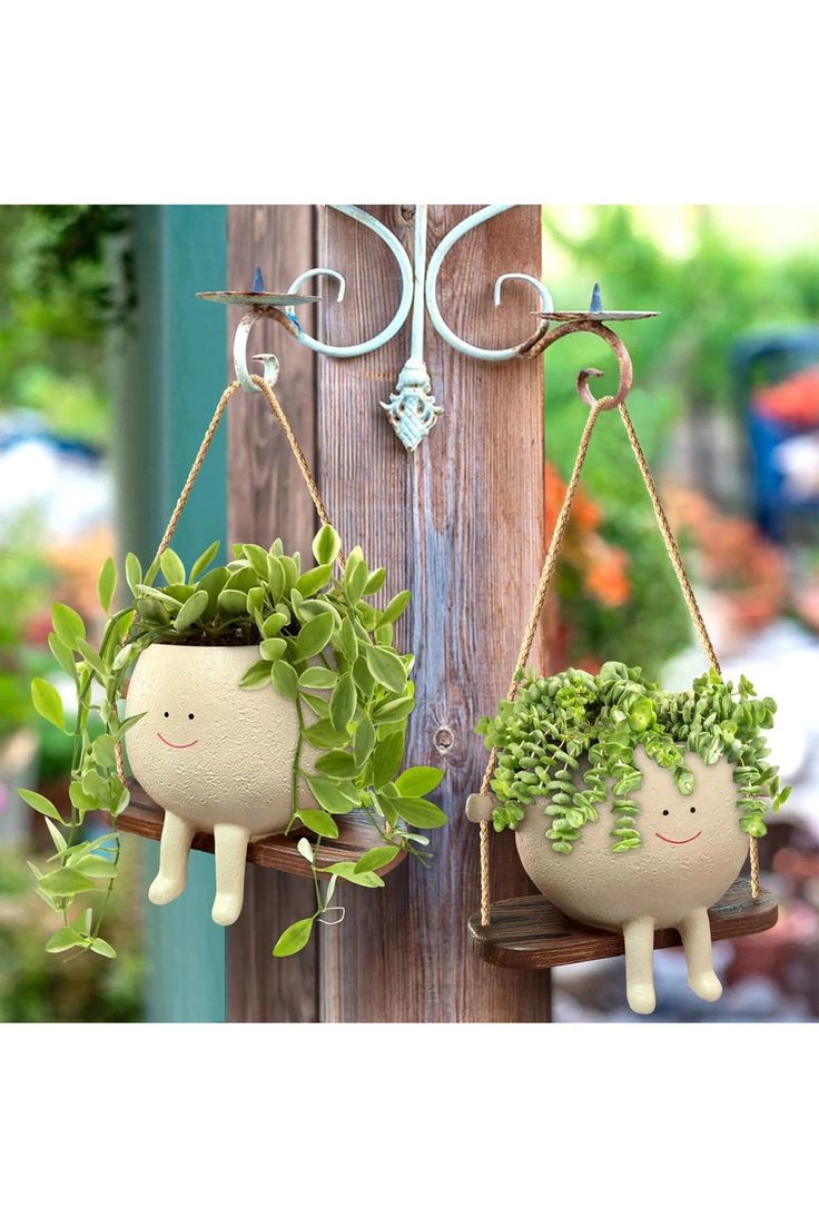 two potted plants hanging from hooks on a wooden pole