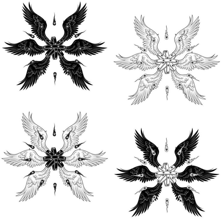 four black and white birds with wings