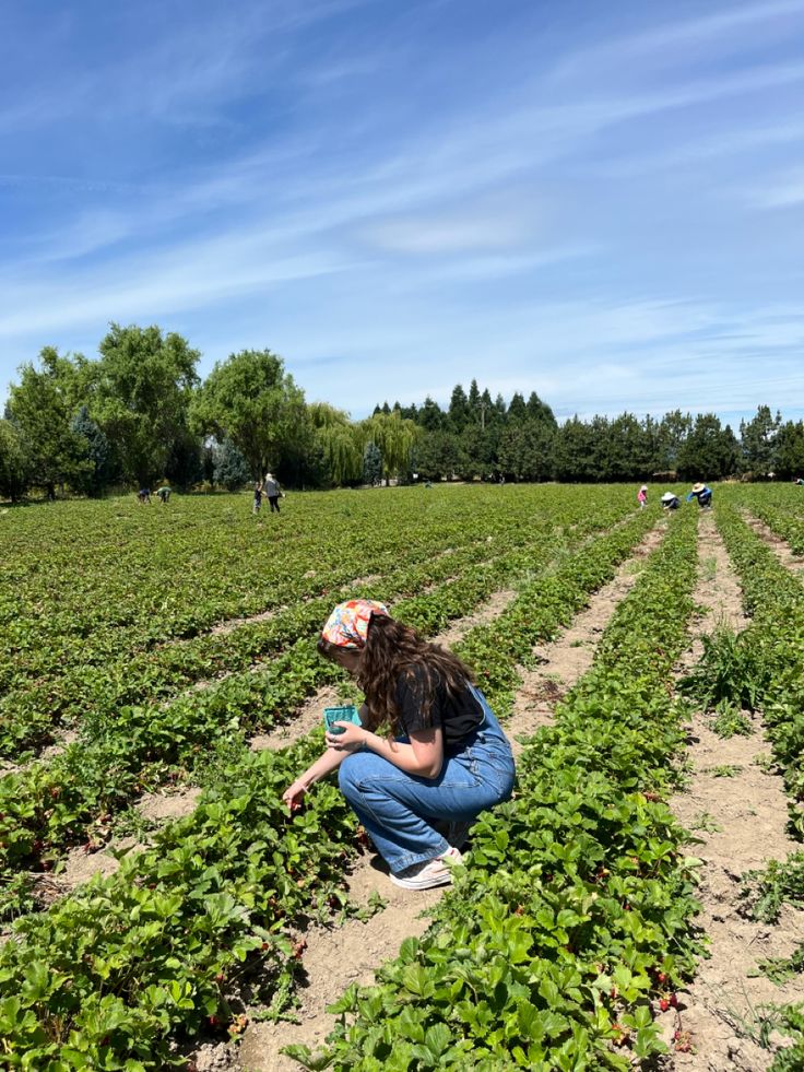 a woman kneeling down in the middle of a field with green plants on both sides