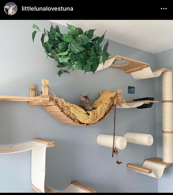 a cat sitting in a hammock on top of a wooden shelf next to a potted plant