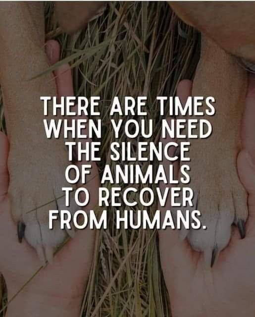 there are times when you need the science of animals to recover from humans quote by person