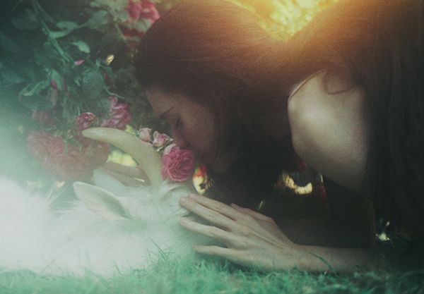 a woman laying on the ground next to a white and gray cat with flowers in her lap