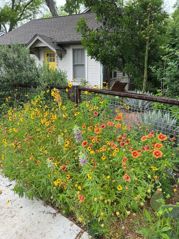 a fenced in garden with lots of flowers