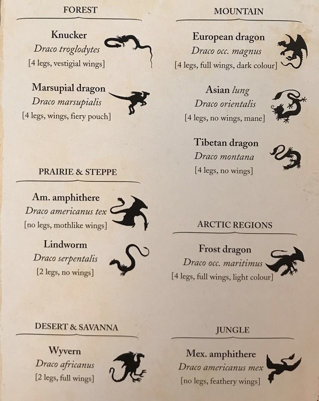 a menu listing the different types of dragon symbols