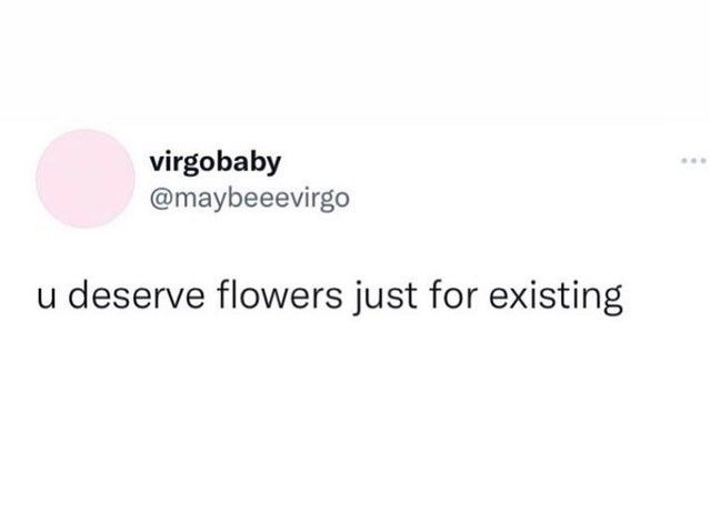 a tweet with the caption'u desserve flowers just for existing '