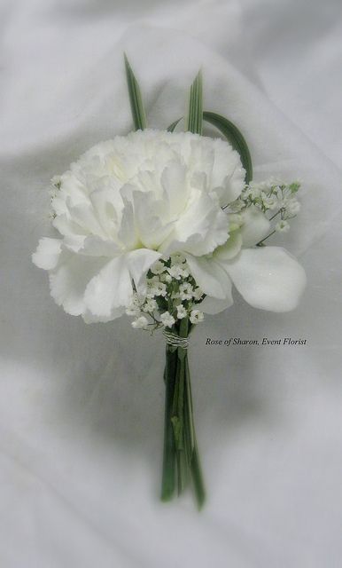 white carnations and baby's breath flowers are arranged in a single bouquet