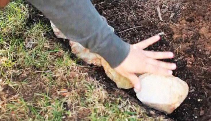 someone is digging in the ground with their hand on an onion bulb that has been dug into the ground