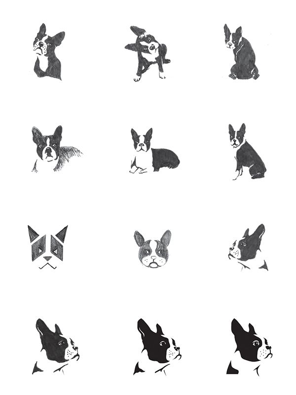 various black and white images of dogs with different shapes, sizes and colors on them