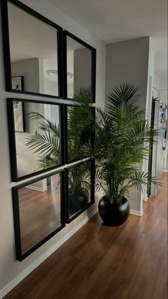 a plant in a black vase on a wooden floor next to windows with panes