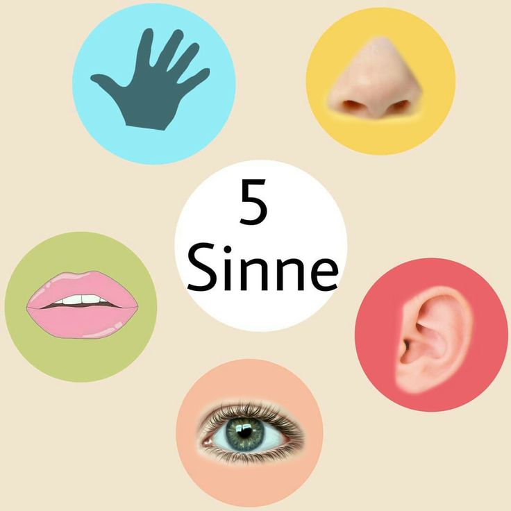 five different types of ears and hands with the words 5 sine written above them