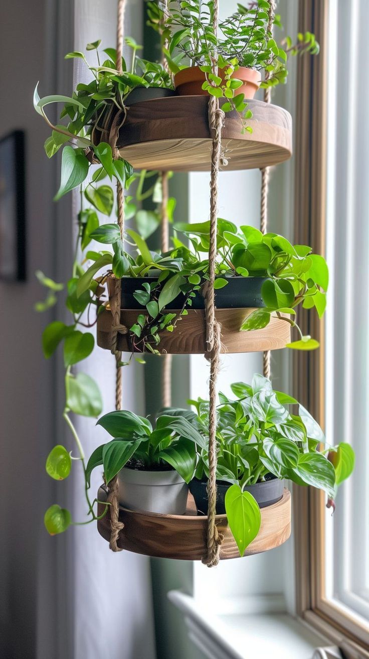 a hanging planter filled with plants next to a window