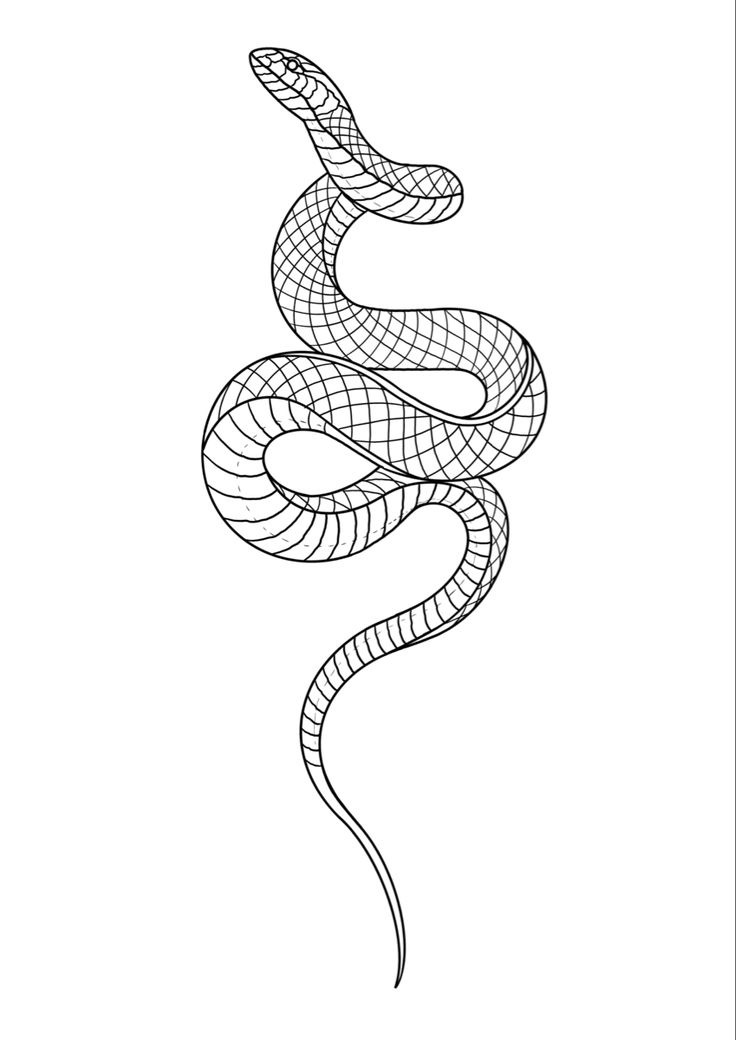 a black and white drawing of a snake