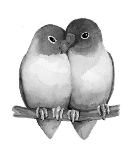 two birds sitting on top of a tree branch with their beaks touching each other