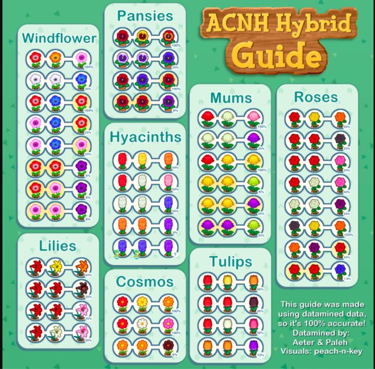 the acn hybrid guide for plants and flowers is shown in this screenshote