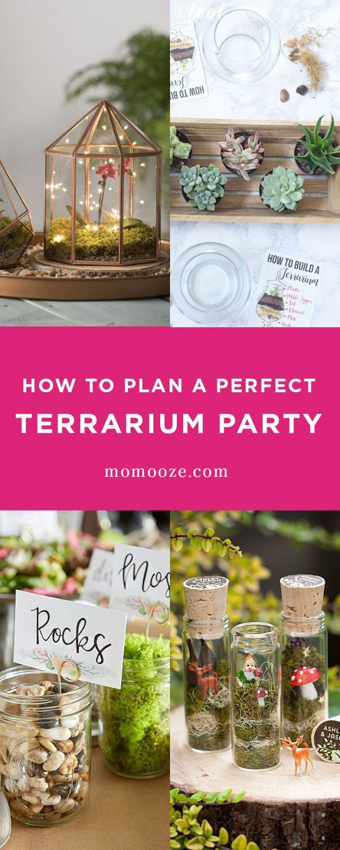 terrarium party with mason jars, rocks and succulents