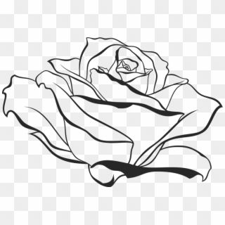 a black and white drawing of a rose on a transparent background, hd png