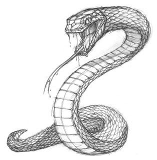 a drawing of a snake with its mouth open and it's head in the air