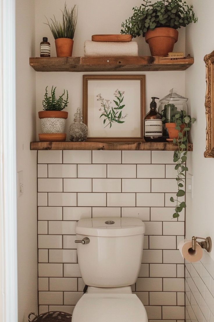 a white toilet sitting in a bathroom next to a shelf filled with potted plants