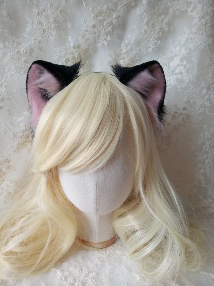 Realistic cat ears black and rose color Realistic Cat Ears, Goddess Oc, Cat Ears Girl, Cat Ear, Oc Ideas, Animal Ears, Cat Girl, Rose Color, Cat Ears