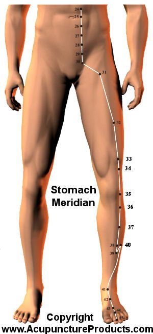 Stomach Meridian, Meridian Acupuncture, Tcm Traditional Chinese Medicine, Meridian Massage, Yin Yoga Poses, Reflexology Massage, Acupuncture Points, Acupressure Points, Naturopathy