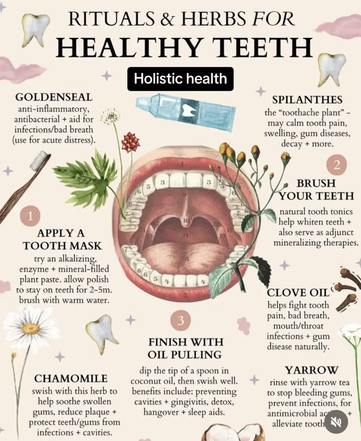 دورة شهرية, Medical Herbs, Teeth Health, Natural Healing Remedies, Herbal Healing, Home Health Remedies, Herbs For Health, Teeth Care, Healing Herbs