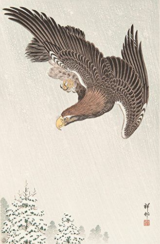 an eagle flying in the sky with trees and snow on it's ground below