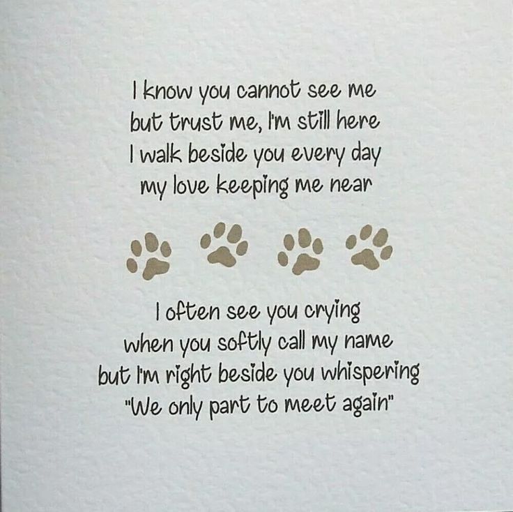 a dog's paw prints on a white card saying i know you cannot see me but trust me, i'm still here