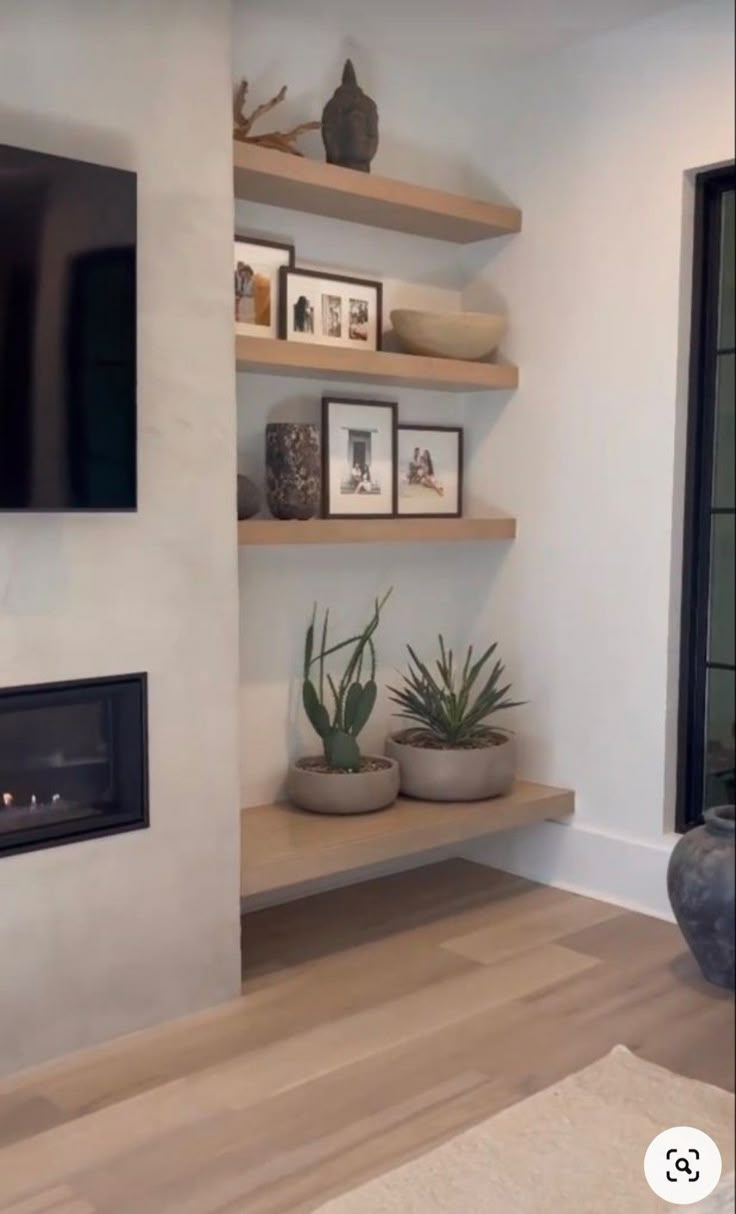 a living room with some shelves and plants on the wall next to a fire place