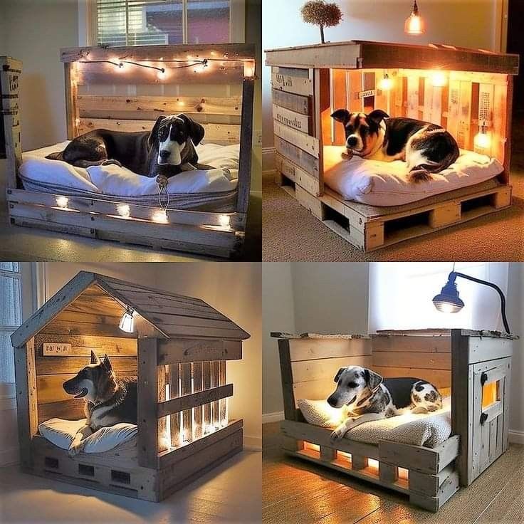 two dogs are laying in their beds made out of pallets and wooden planks