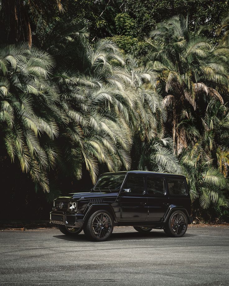 a black jeep is parked in front of some palm trees and tall green plants on the side of the road