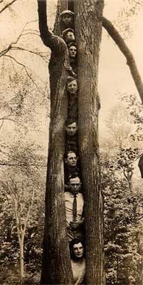 an old black and white photo with many heads on the tree in front of it