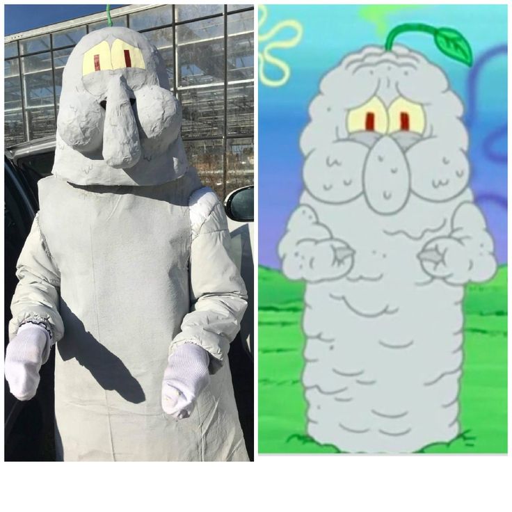 an image of a cartoon character in the same outfit and another photo of someone wearing a costume