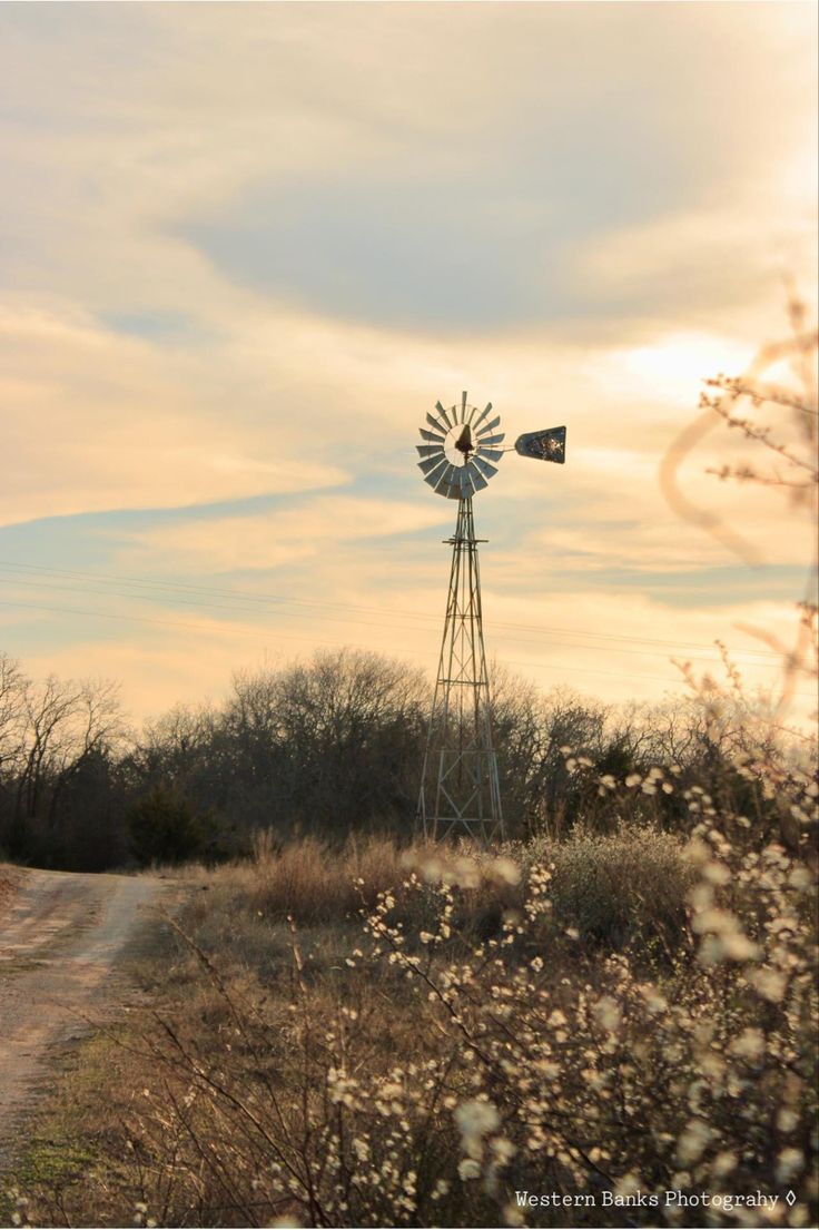 a windmill on the side of a dirt road with trees and bushes in the foreground