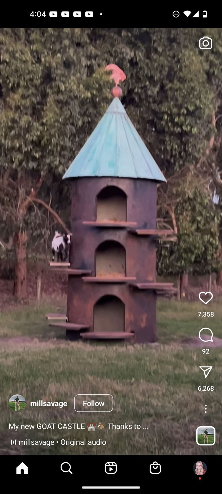 an image of a cat house in the grass