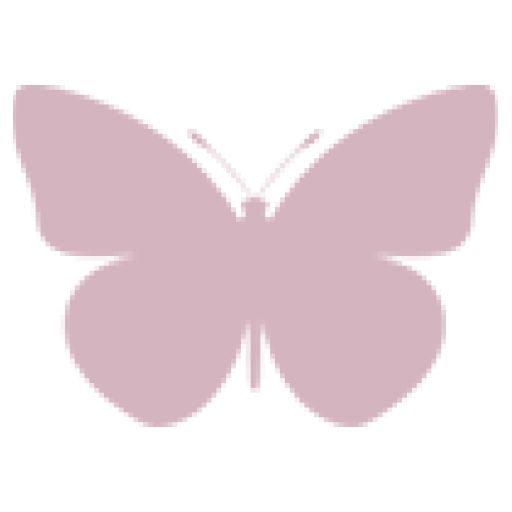 a pink butterfly on a white background