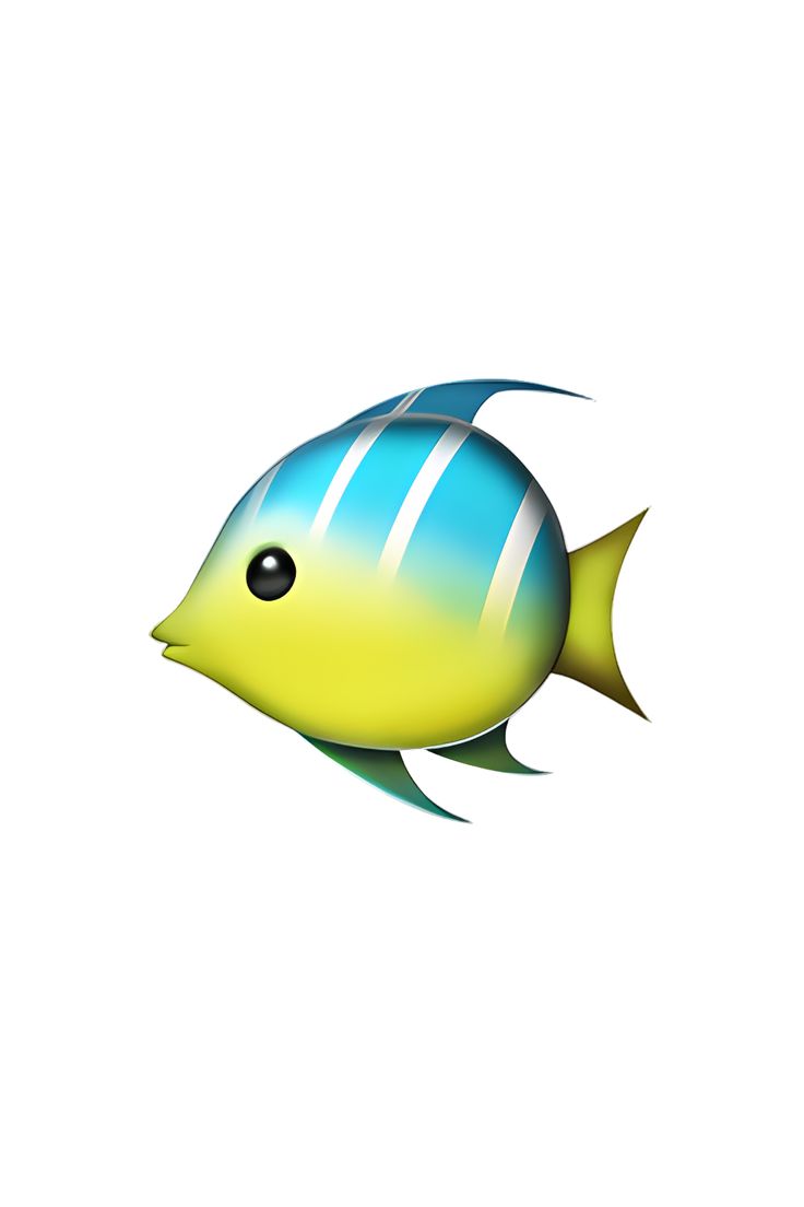 a blue and yellow fish on a white background