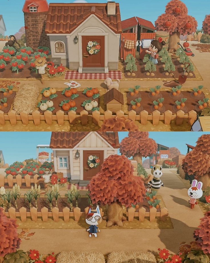 two pictures of an animated farm scene with animals and flowers in the foreground, one showing a small house surrounded by pumpkin trees