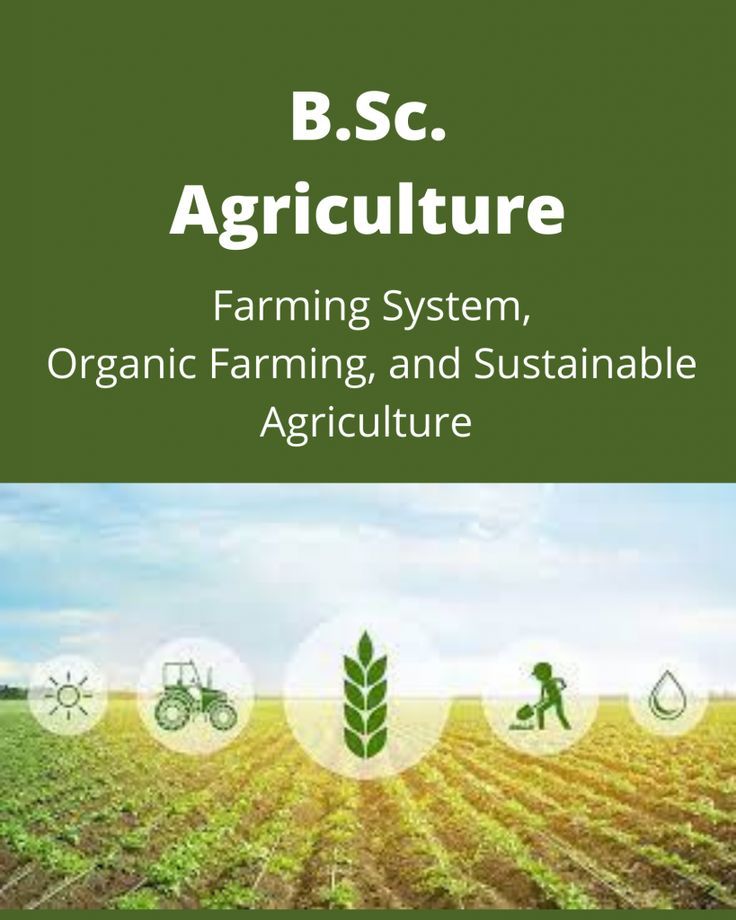 the cover image for b s c agriculture farming system, organic farming and sustainable agriculture