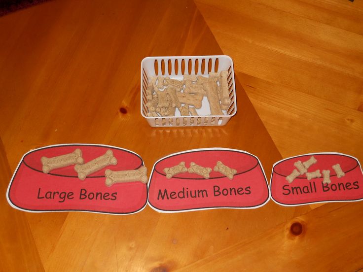 three dog bone magnets sitting on top of a wooden table next to a basket