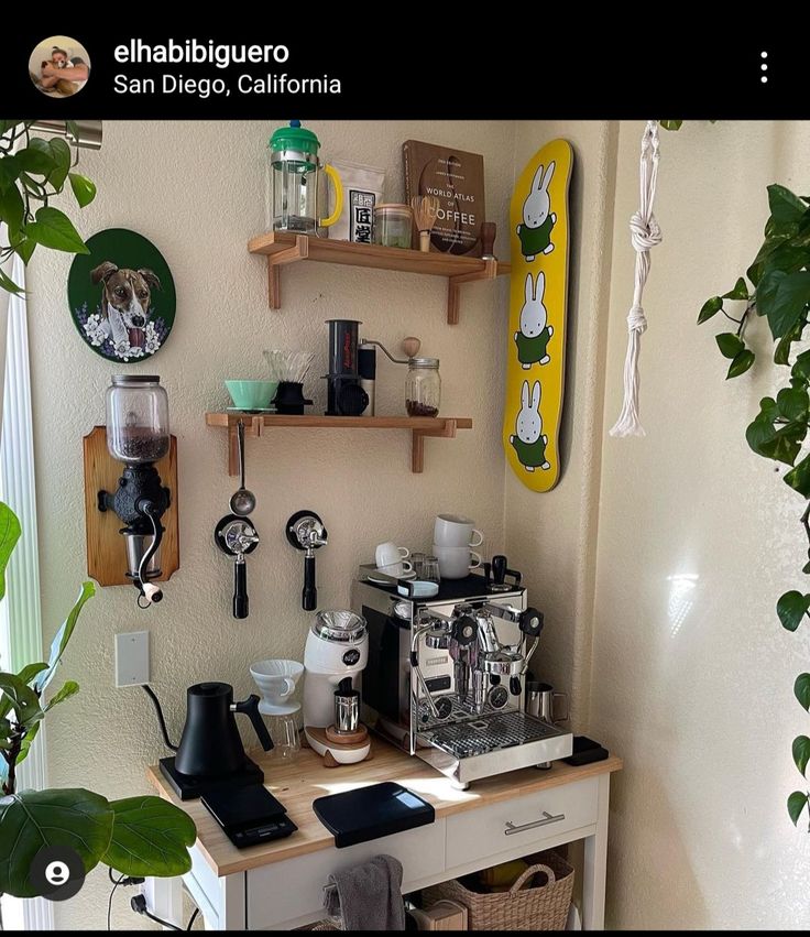 there is a coffee maker on the counter in this room with plants and other items