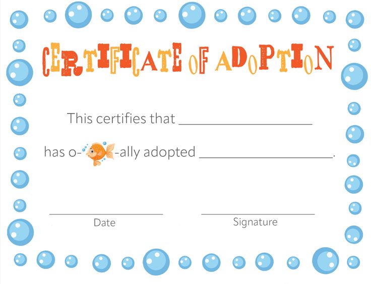 a certificate with bubbles on it and an orange fish in the water, is shown