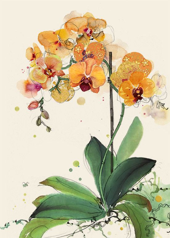 watercolor painting of orange and yellow orchids