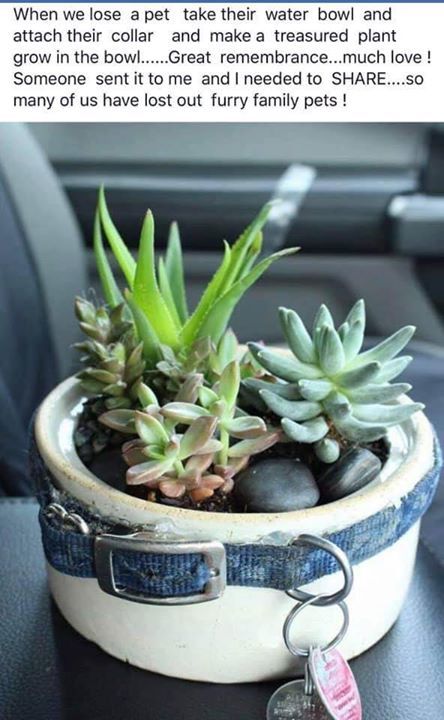 a potted plant sitting on top of a car seat