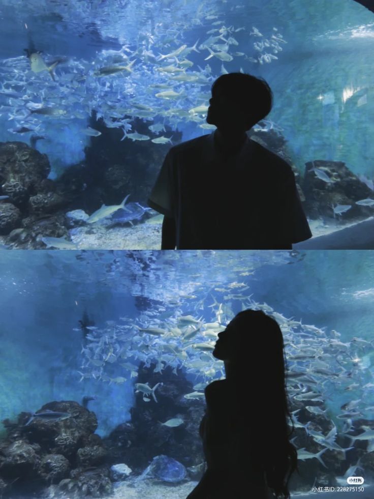 two people standing in front of an aquarium looking at the fish and corals inside